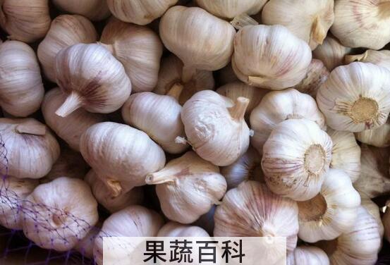 女人吃大蒜有什么好处 女人吃大蒜有什么危害