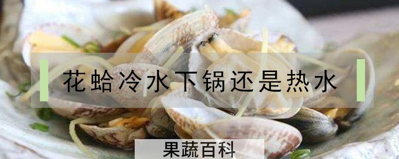 花蛤冷水下锅还是热水