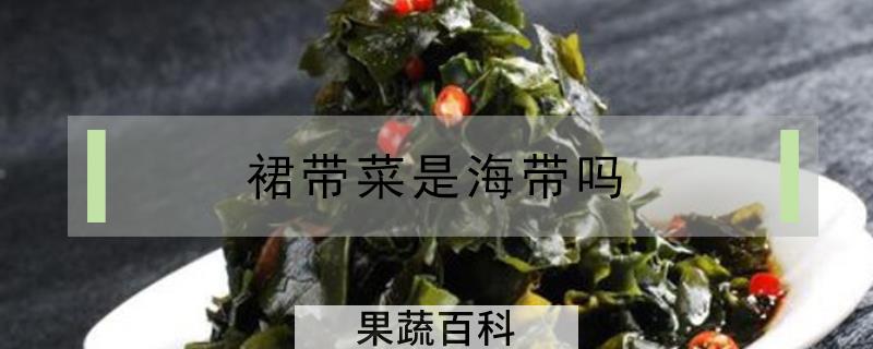 裙带菜是海带吗