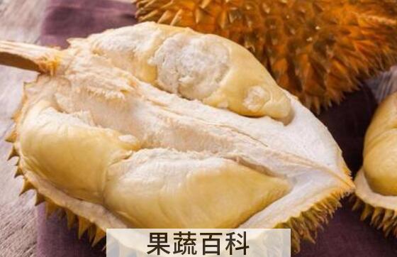吃榴莲有什么好处 吃榴莲的好处有哪些