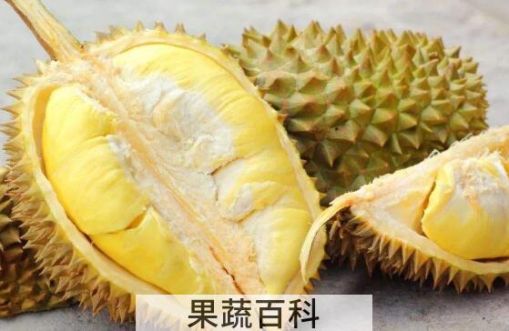 吃榴莲有什么好处 吃榴莲的好处有哪些