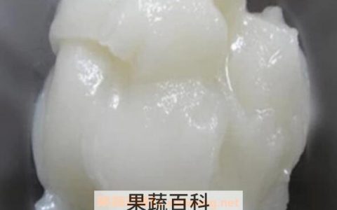 雪脂莲蜜的作用与功效及食用禁忌