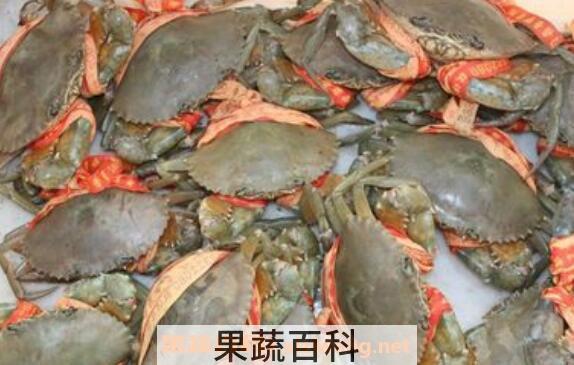 青蟹怎么保存 青蟹保鲜的方法技巧