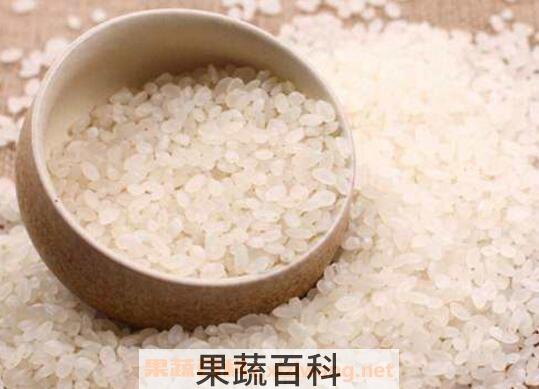 粳米和大米的区别 粳米和大米的食用禁忌