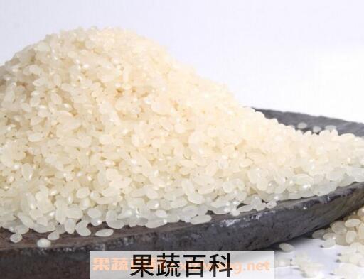 粳米和大米的区别 粳米和大米的食用禁忌