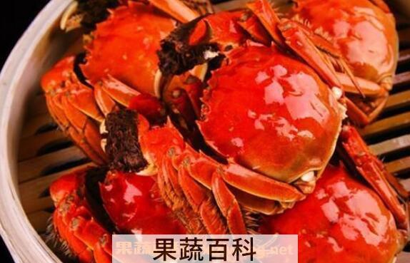 螃蟹怎么保存 保存螃蟹的方法技巧
