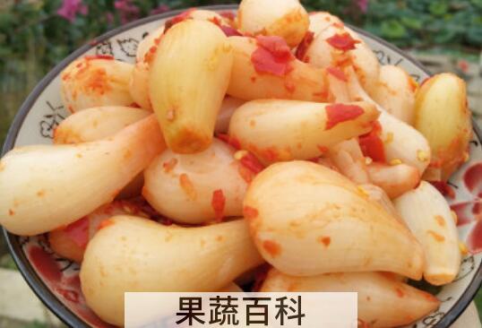 藠头怎么腌制好吃 藠头的腌制方法教程