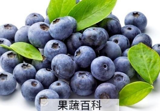对大脑有益的16种食物