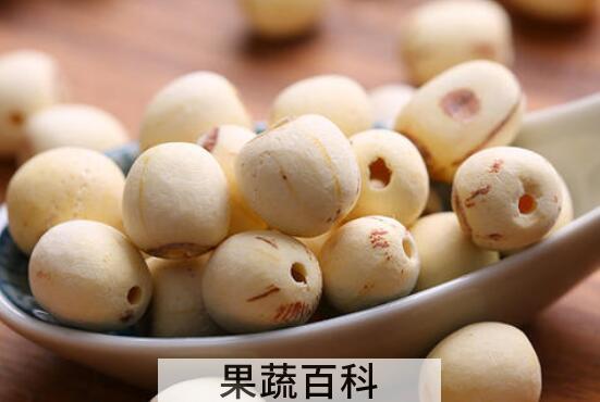 红莲子和白莲子的区别 吃莲子的好处