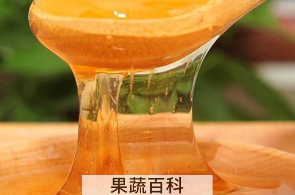党参蜂蜜的功效与作用 党参蜂蜜的食用方法