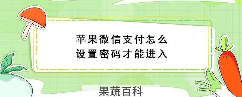 苹果微信支付怎么设置密码才能进入