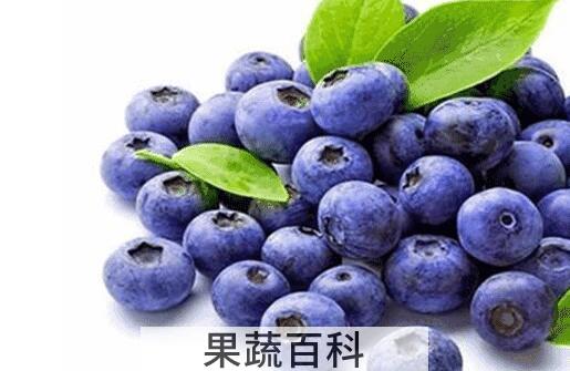 花青素的功效与作用及禁忌 花青素哪些人不能喝