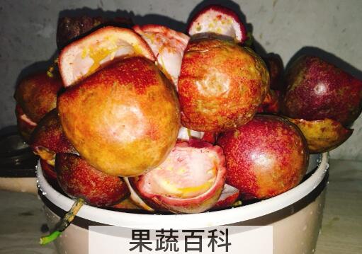 百香果皮的功效与作用 吃百香果皮的好处