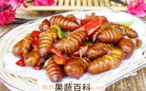 女性吃蚕蛹的好处与坏处