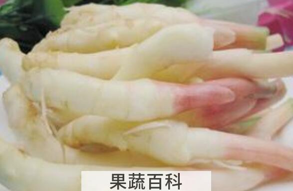 嫩生姜的功效与作用