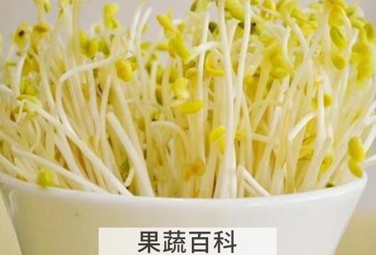 怎样生芽菜 生黄豆芽的方法