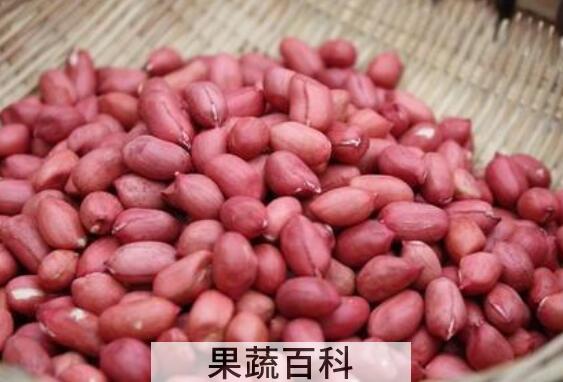 生花生米的功效与作用及禁忌