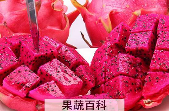 吃火龙果的好处和坏处 吃火龙果有什么好处与禁忌