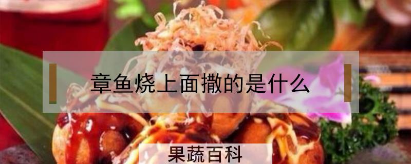章鱼烧上面撒的是什么