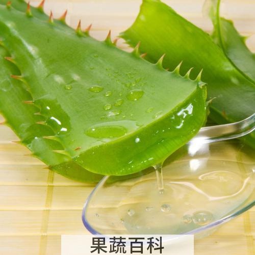 芦荟胶