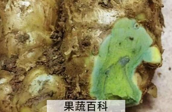 蓝姜的功效与作用与副作用