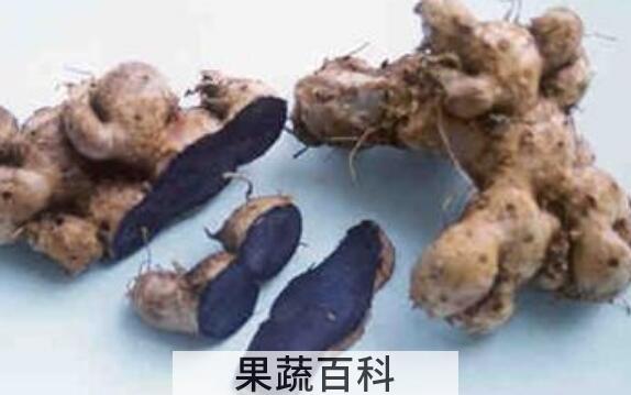 蓝姜的功效与作用与副作用