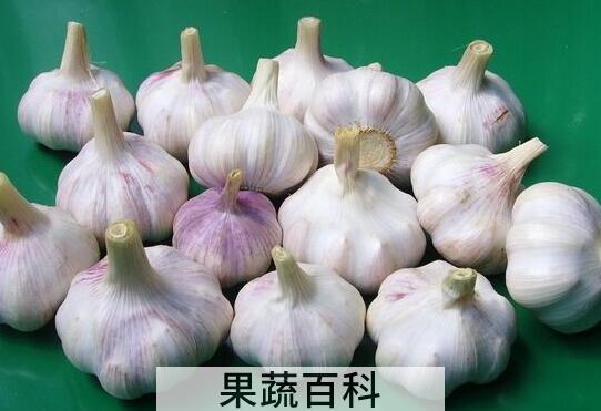 吃大蒜有什么好处 吃大蒜的功效与作用