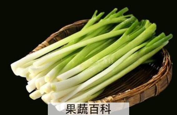 生吃大葱对身体好吗 生吃大葱的好处与坏处