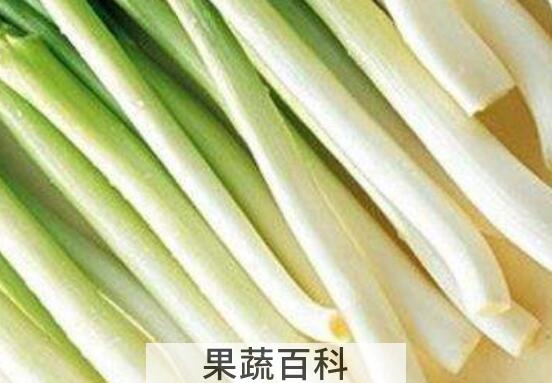 生吃大葱对身体好吗 生吃大葱的好处与坏处