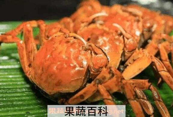 螃蟹不能和什么一起吃 什么人不适合吃螃蟹