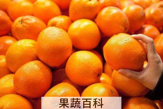 橘子和桔子有什么区别