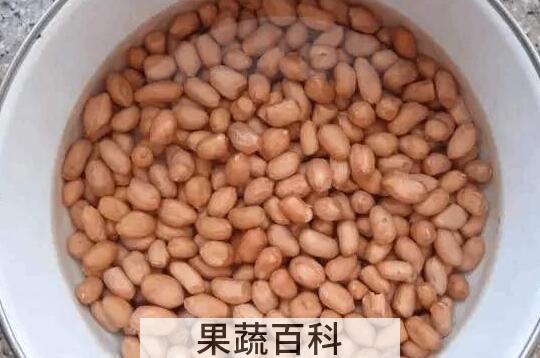 生花生泡水的功效和作用 生花生泡水的好处