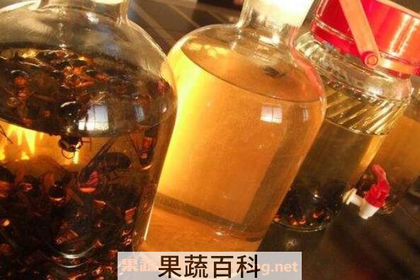 虎头蜂酒的功效与作用 虎头蜂酒有什么危害
