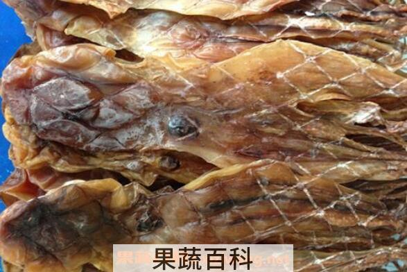 章鱼干的功效与作用