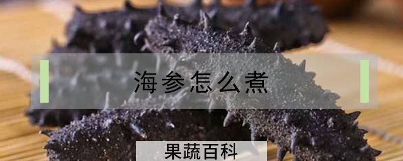 海参怎么煮