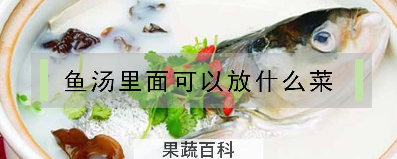 鱼汤里面可以放什么菜