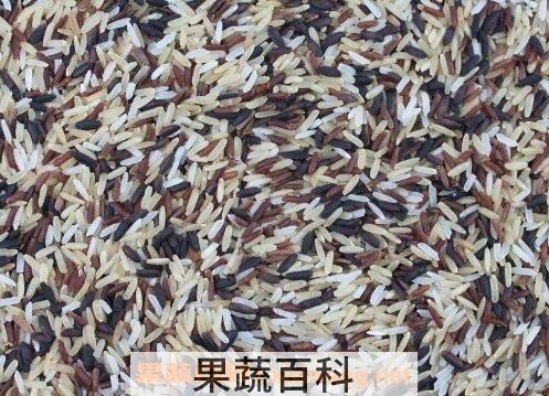 怎么保存米 如何保存米不生虫