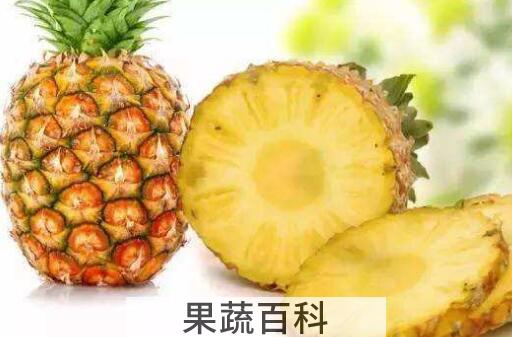 凤梨和菠萝的区别 菠萝跟凤梨有什么区别
