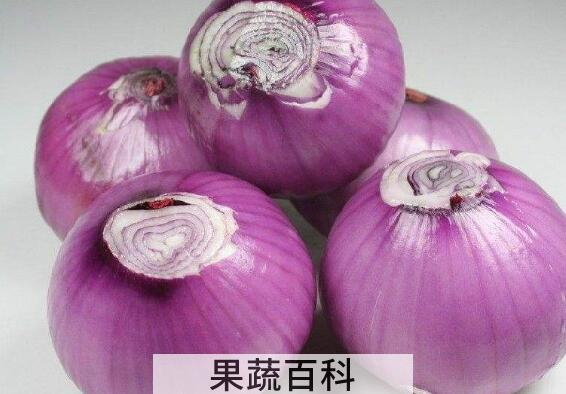 为什么女人不能吃洋葱 什么人不适合吃洋葱