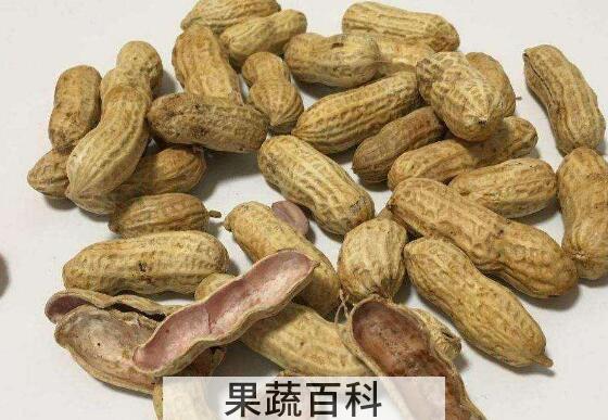 花生壳泡脚有什么功效 花生壳煮水泡脚的功效与作用