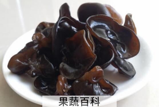 云耳和木耳的区别 吃云耳的好处