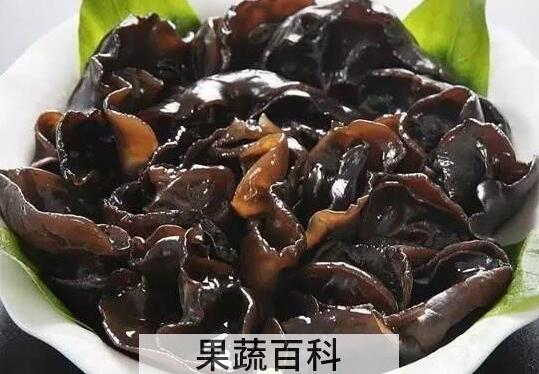云耳和木耳的区别 吃云耳的好处