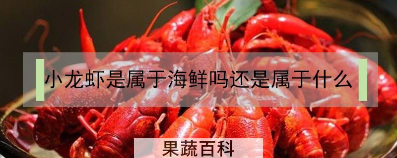 小龙虾是属于海鲜吗还是属于什么