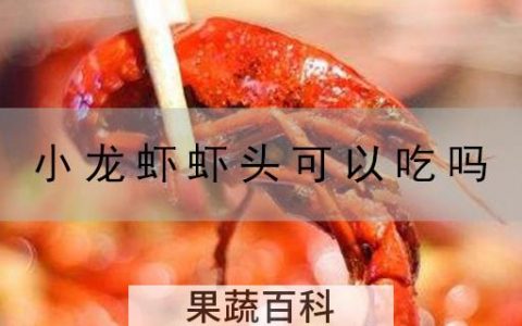 小龙虾虾头可以吃吗