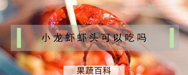 小龙虾虾头可以吃吗