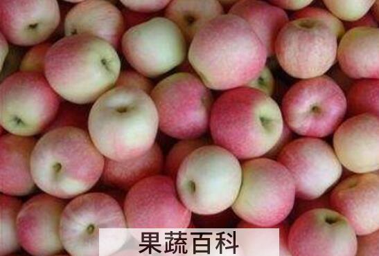 补锌的水果有哪些