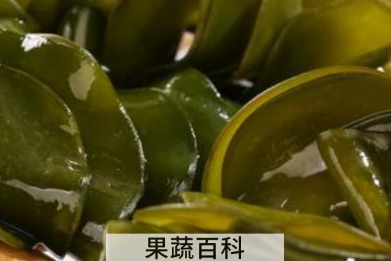 海木耳的功效与作用 吃海木耳的好处