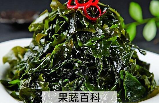 海木耳的功效与作用 吃海木耳的好处