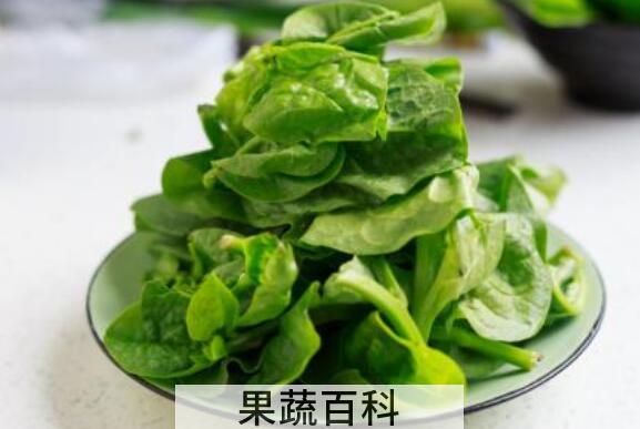 木耳菜的功效与作用 吃木耳菜的禁忌