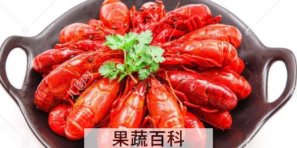 清蒸小龙虾要蒸多久